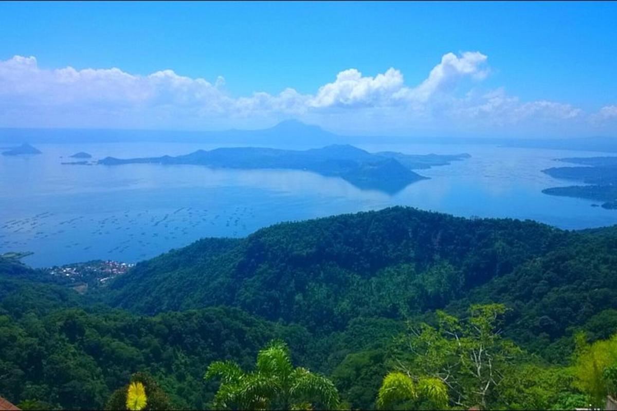 a view of a large body of water with trees