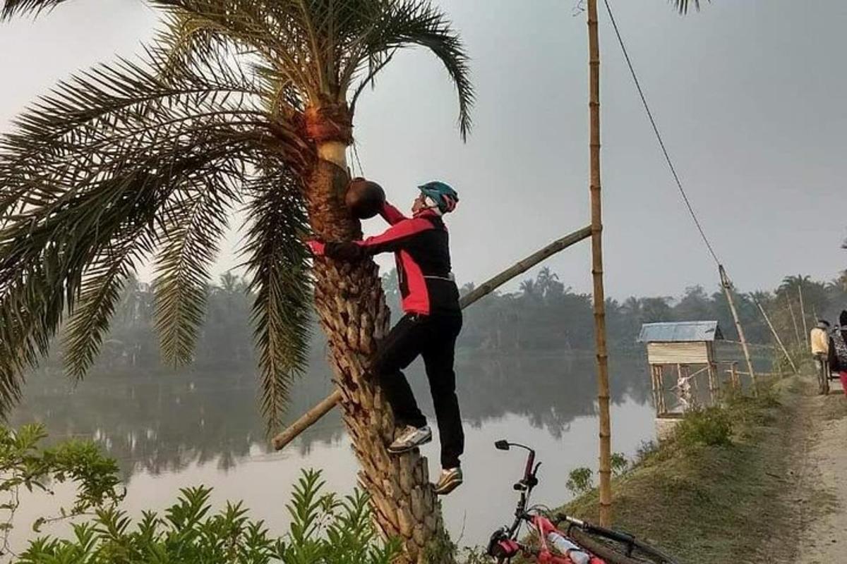 two men are climbing up a palm tree
