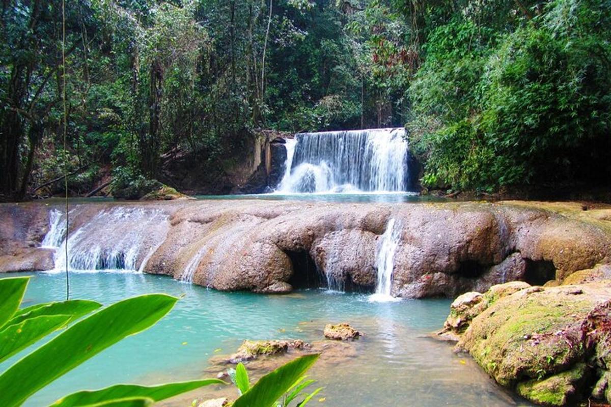 una cascata in mezzo a una foresta