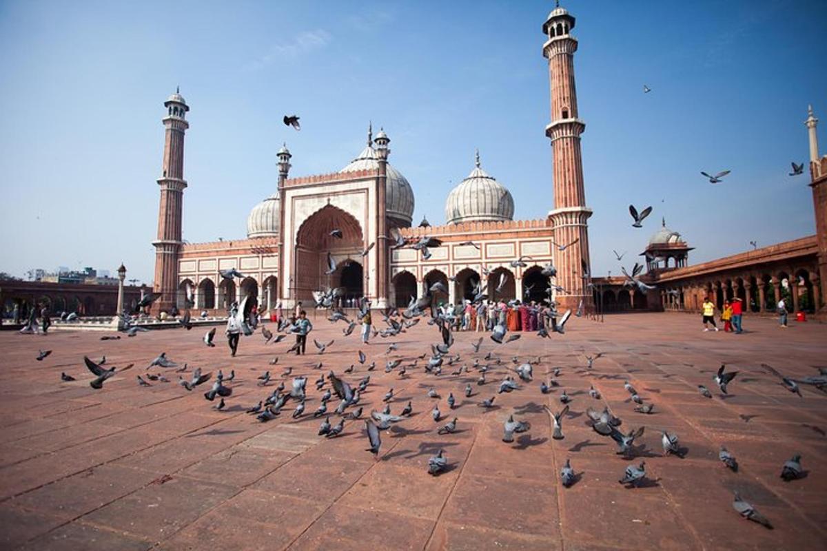a flock of pigeons in front of a building