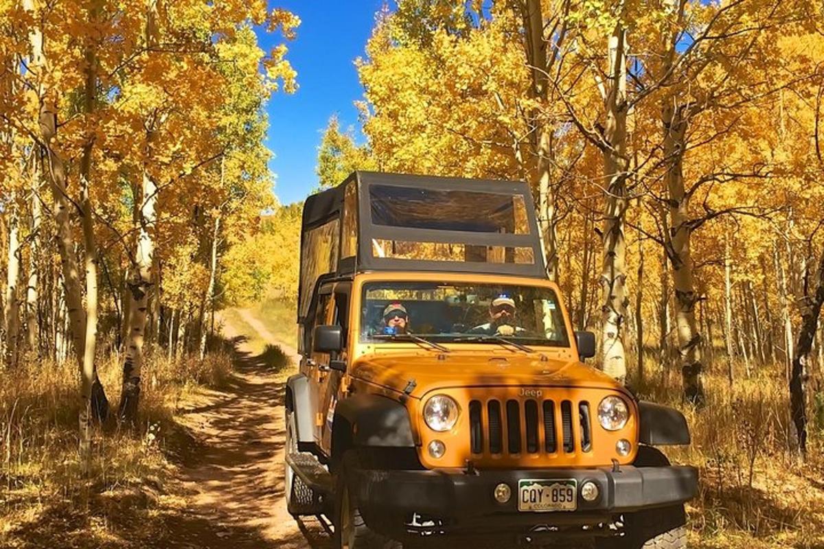 an orange jeep driving down a dirt road
