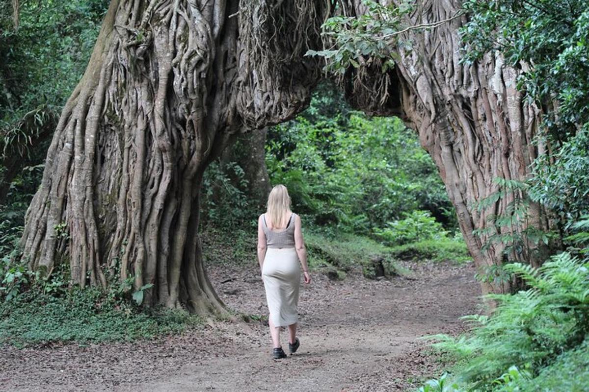 a woman walking in front of a large tree