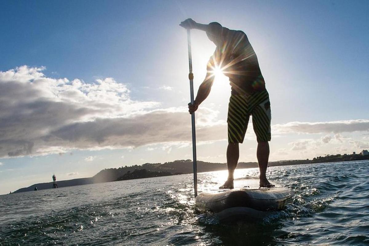 un hombre en una tabla de remo en el agua