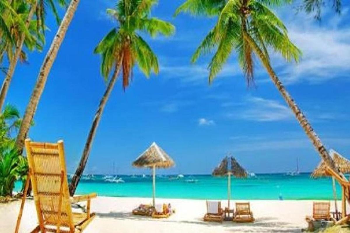 plaža z ležalniki in palmami ter ocean
