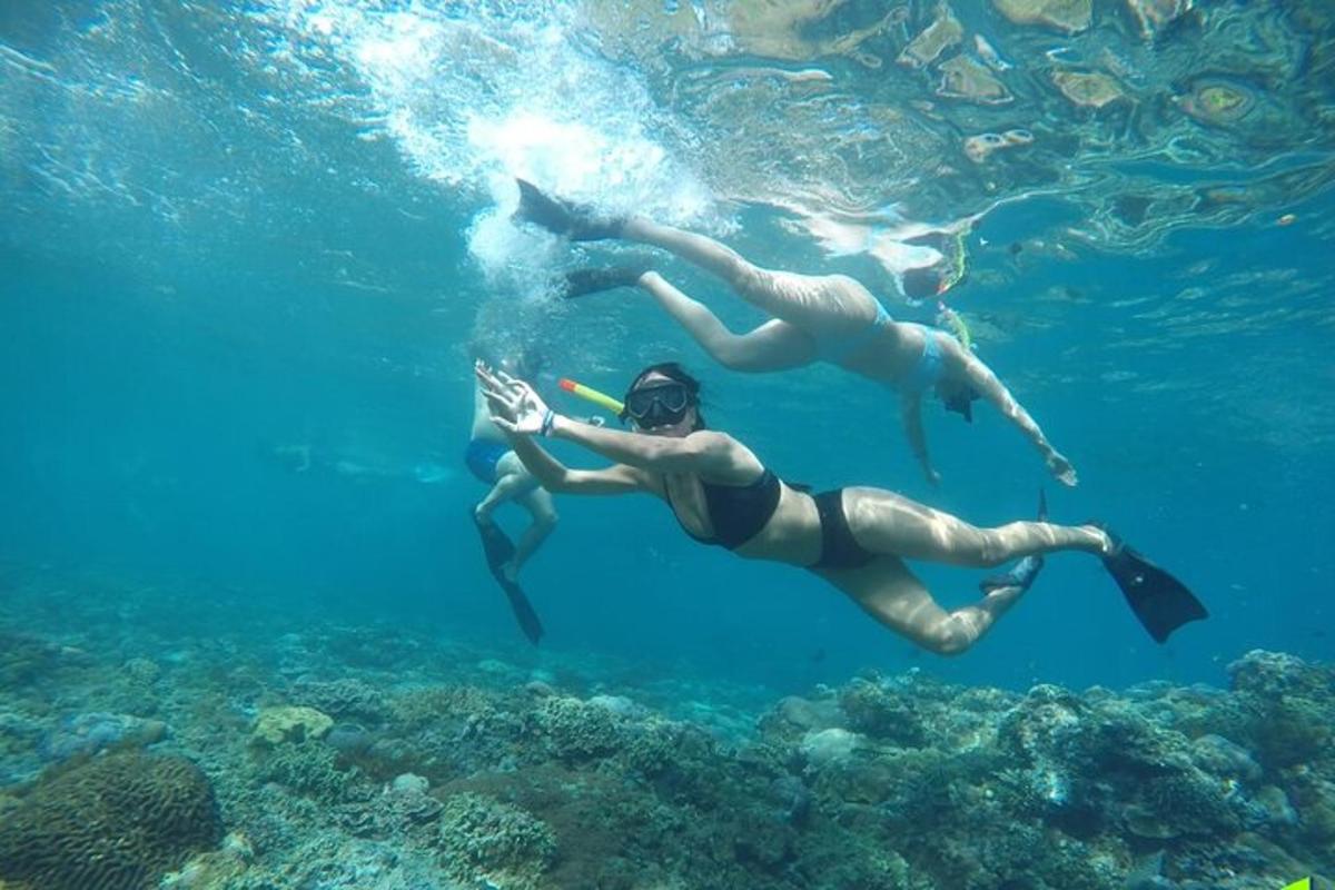 dve osebi plavata v vodi v oceanu