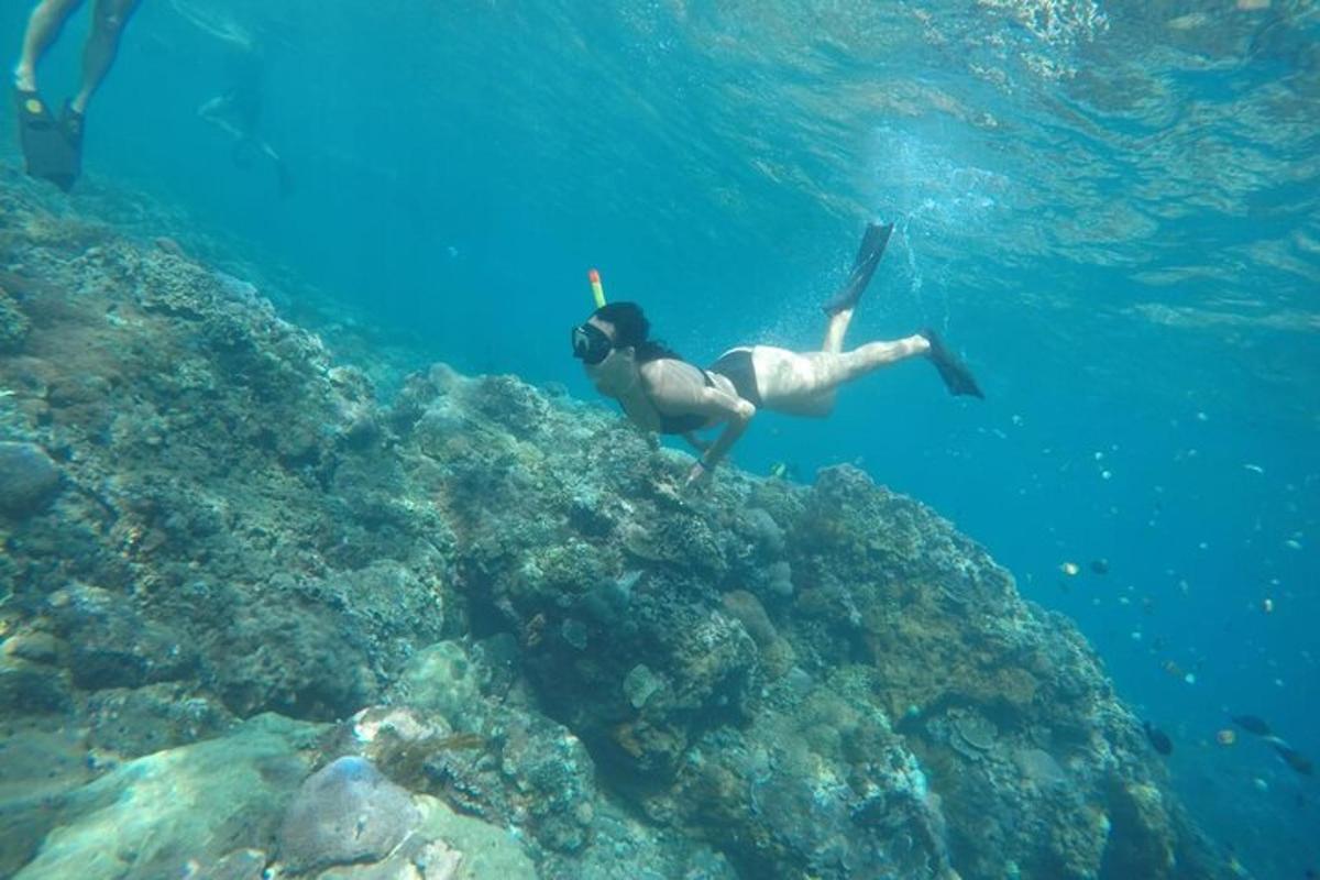 oseba, ki plava v oceanu blizu grebena