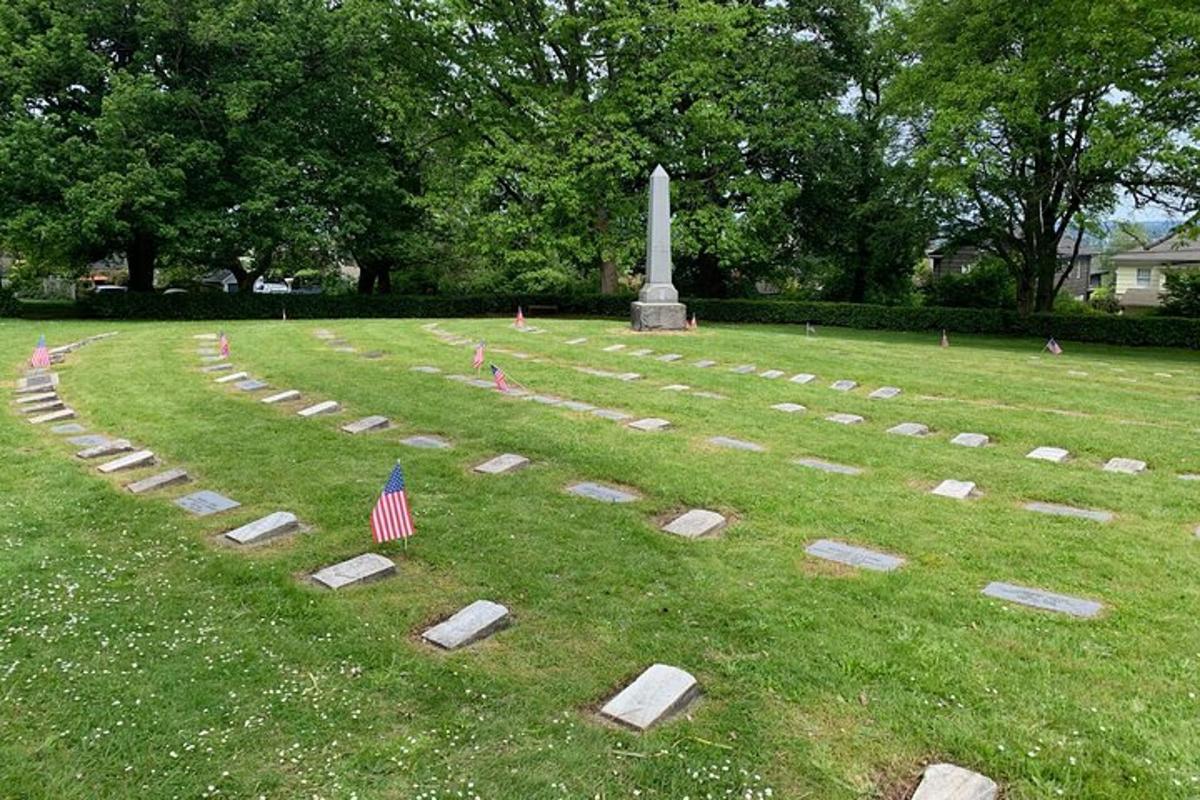 a cemetery with an american flag in the grass
