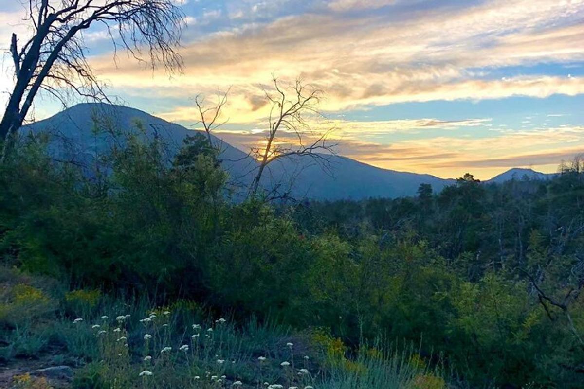 a sunset in the mountains with trees and bushes