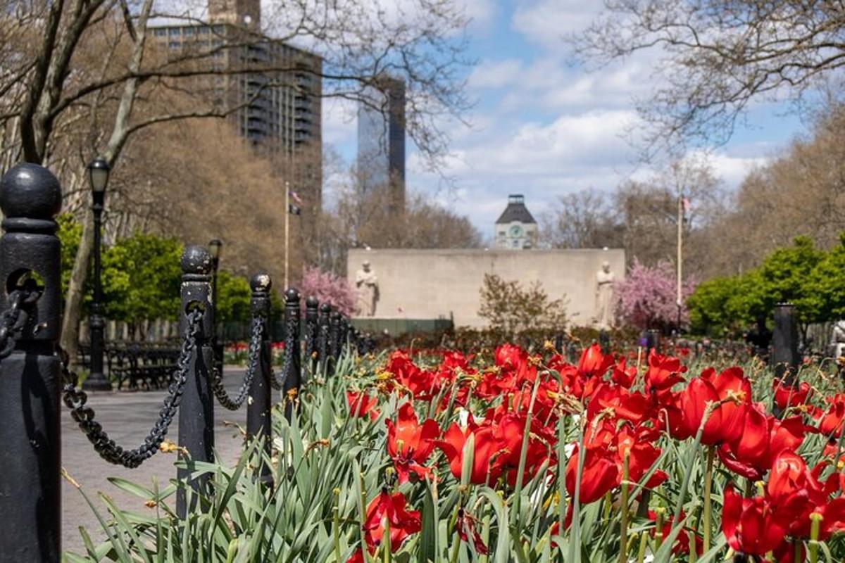 a bunch of red flowers in a park
