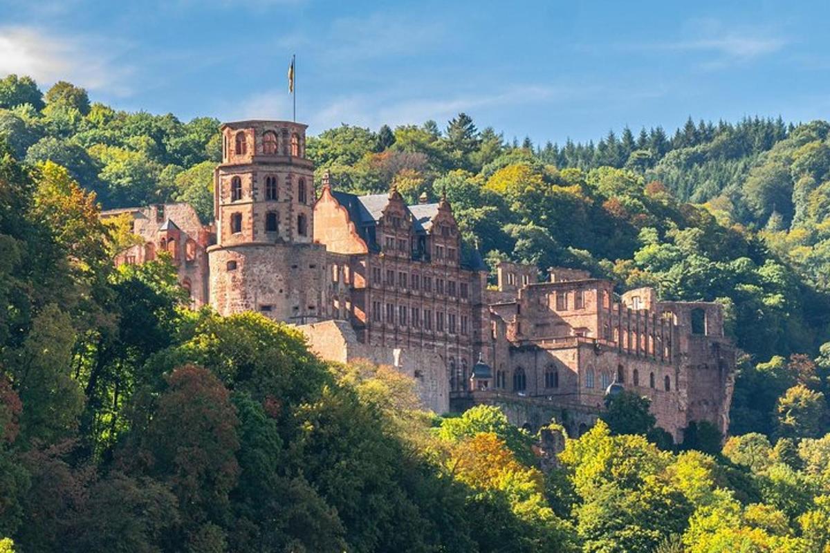 starý hrad na vrcholu kopce se stromy