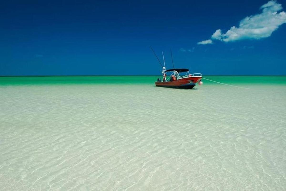 a boat sitting on the sand in the ocean