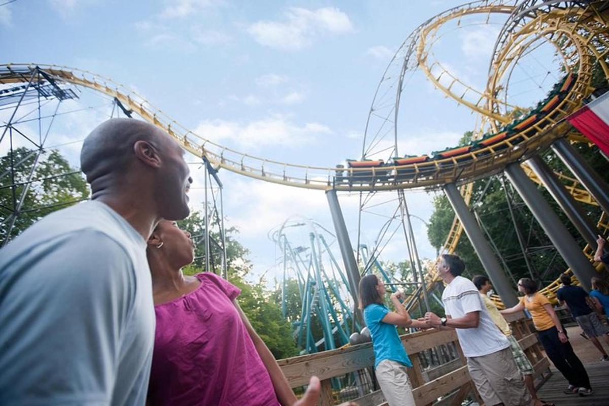 people on a roller coaster at an amusement park