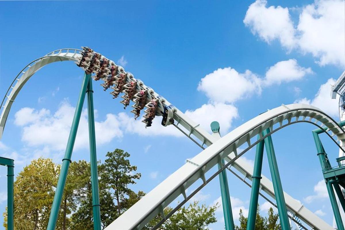 a roller coaster at a theme park