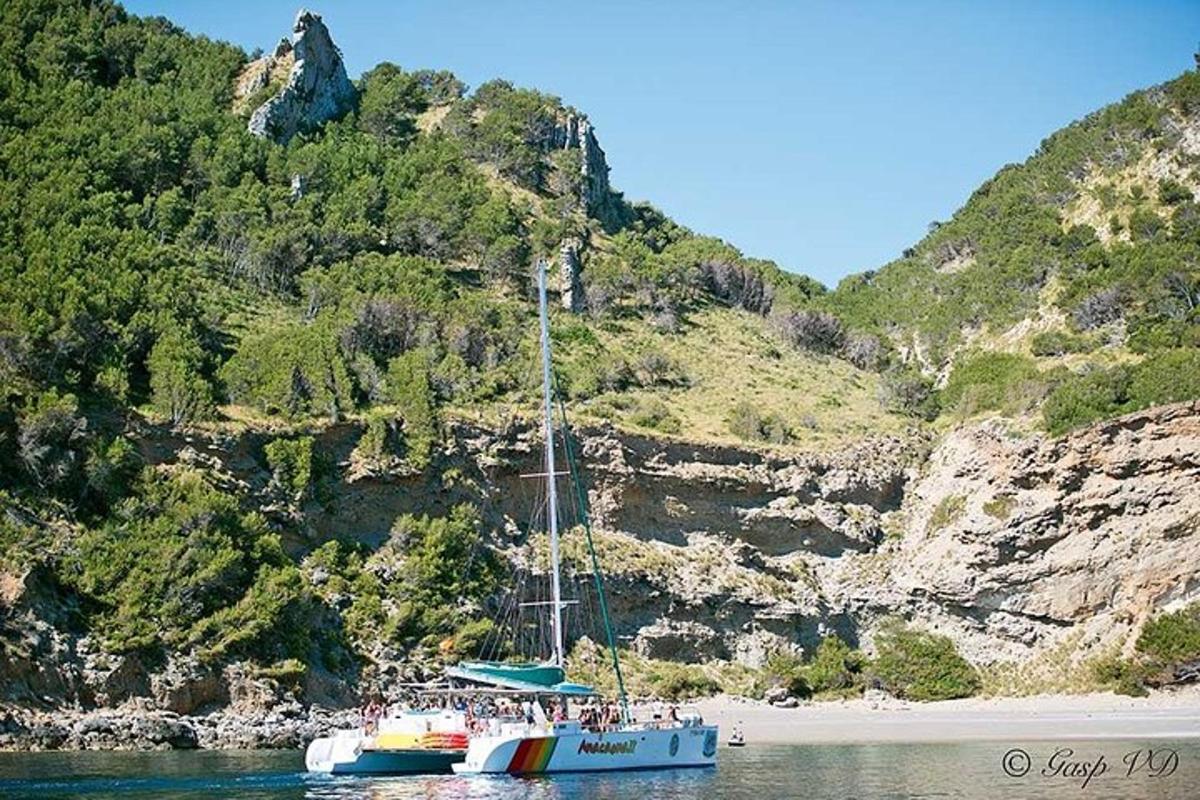 μια βάρκα που κάθεται στο νερό δίπλα σε μια παραλία