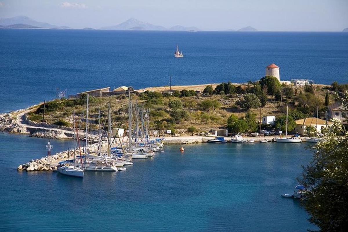 a bunch of boats are docked in a harbor