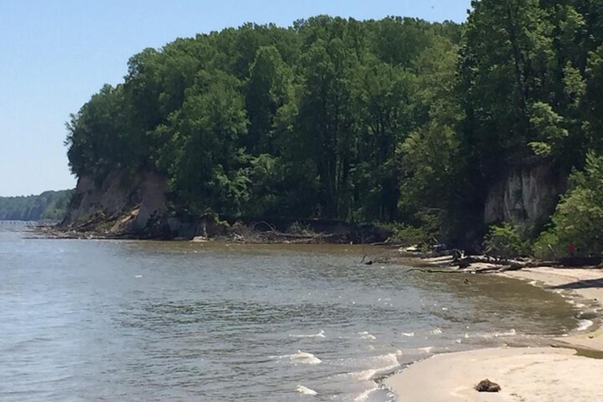 pemandangan pantai dengan pokok dan air