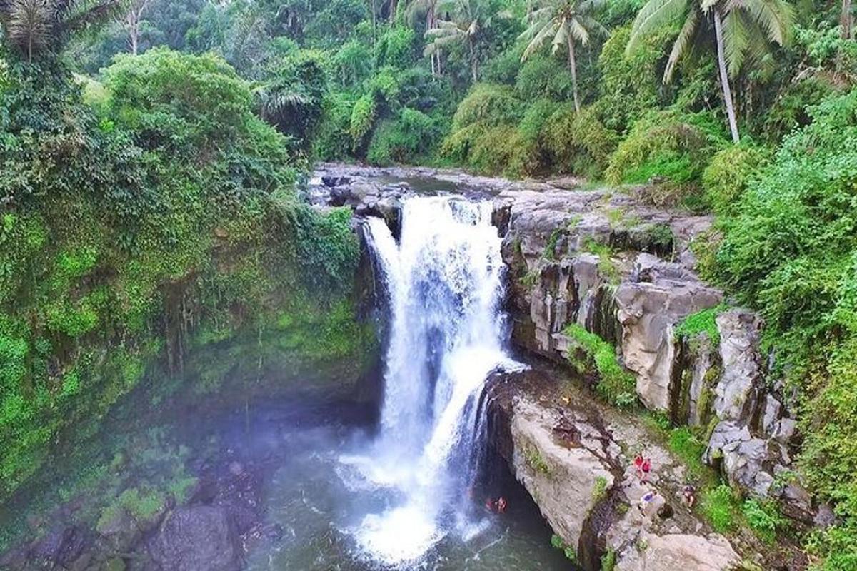 una cascada en medio de una jungla