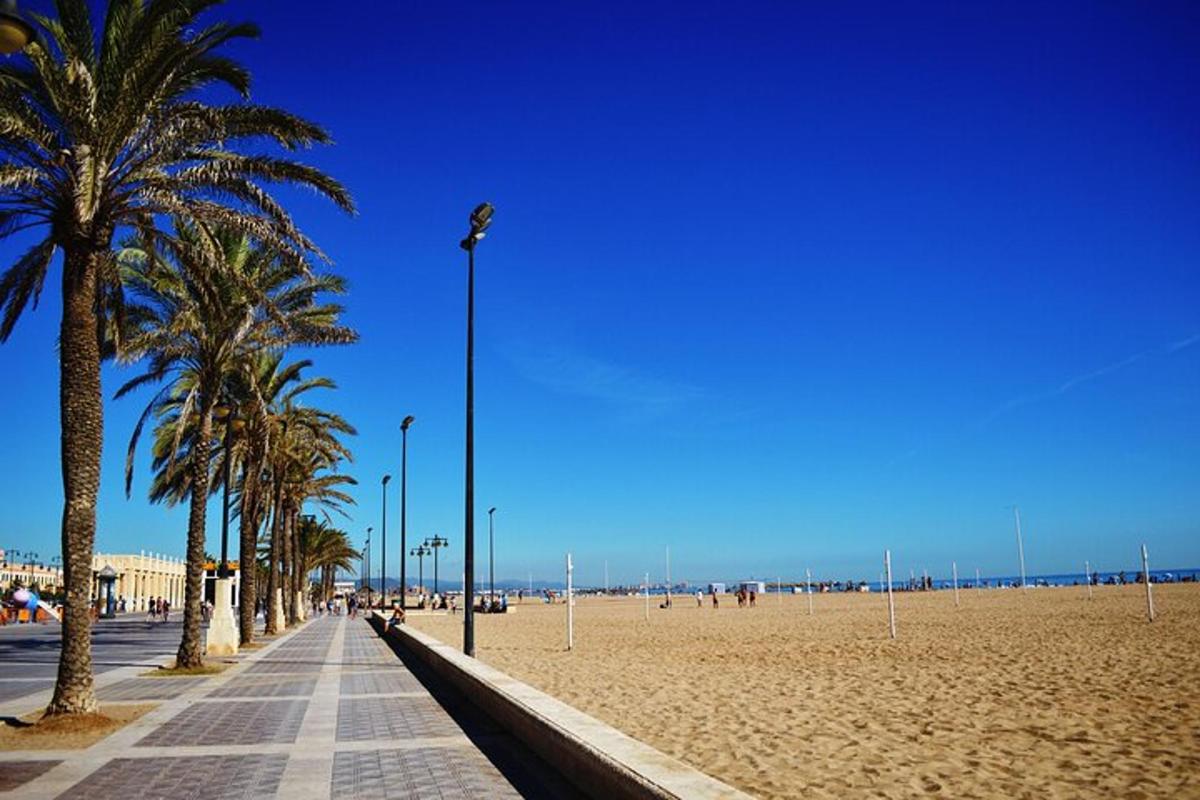 a sandy beach with palm trees and a street light