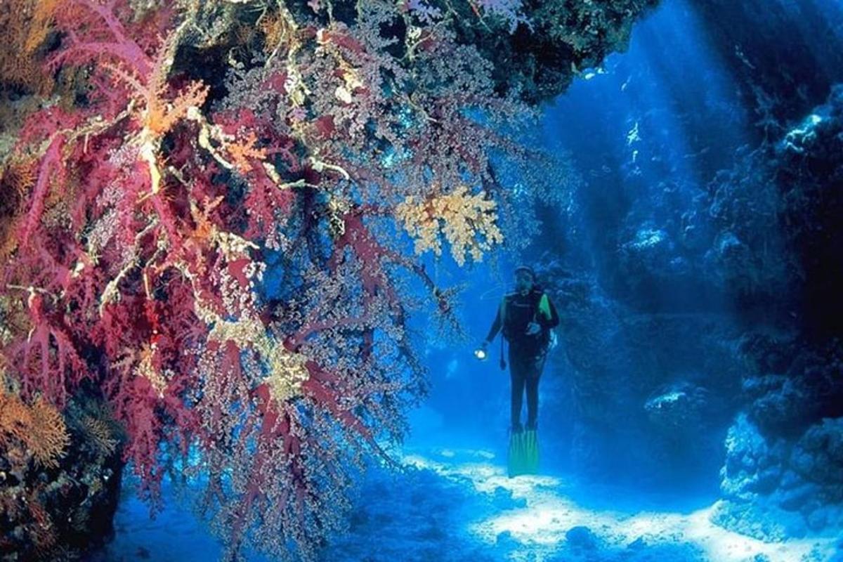 moški hodi skozi podvodni tunel