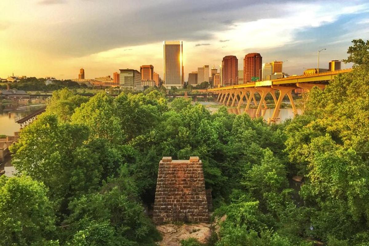 a view of a city with a bridge and trees