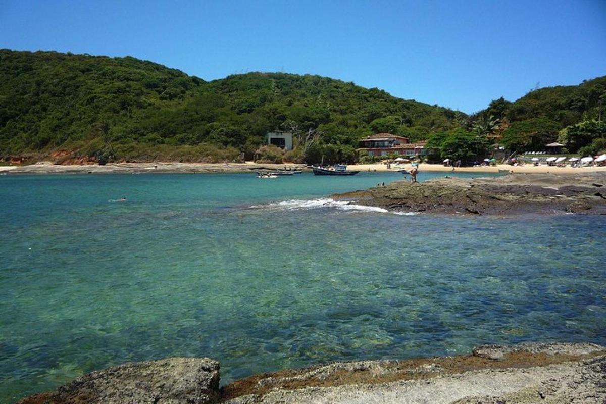 una spiaggia con un gruppo di barche in acqua