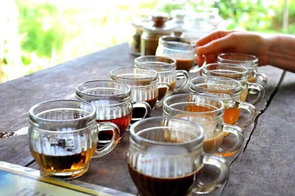một nhóm ly bia trên bàn