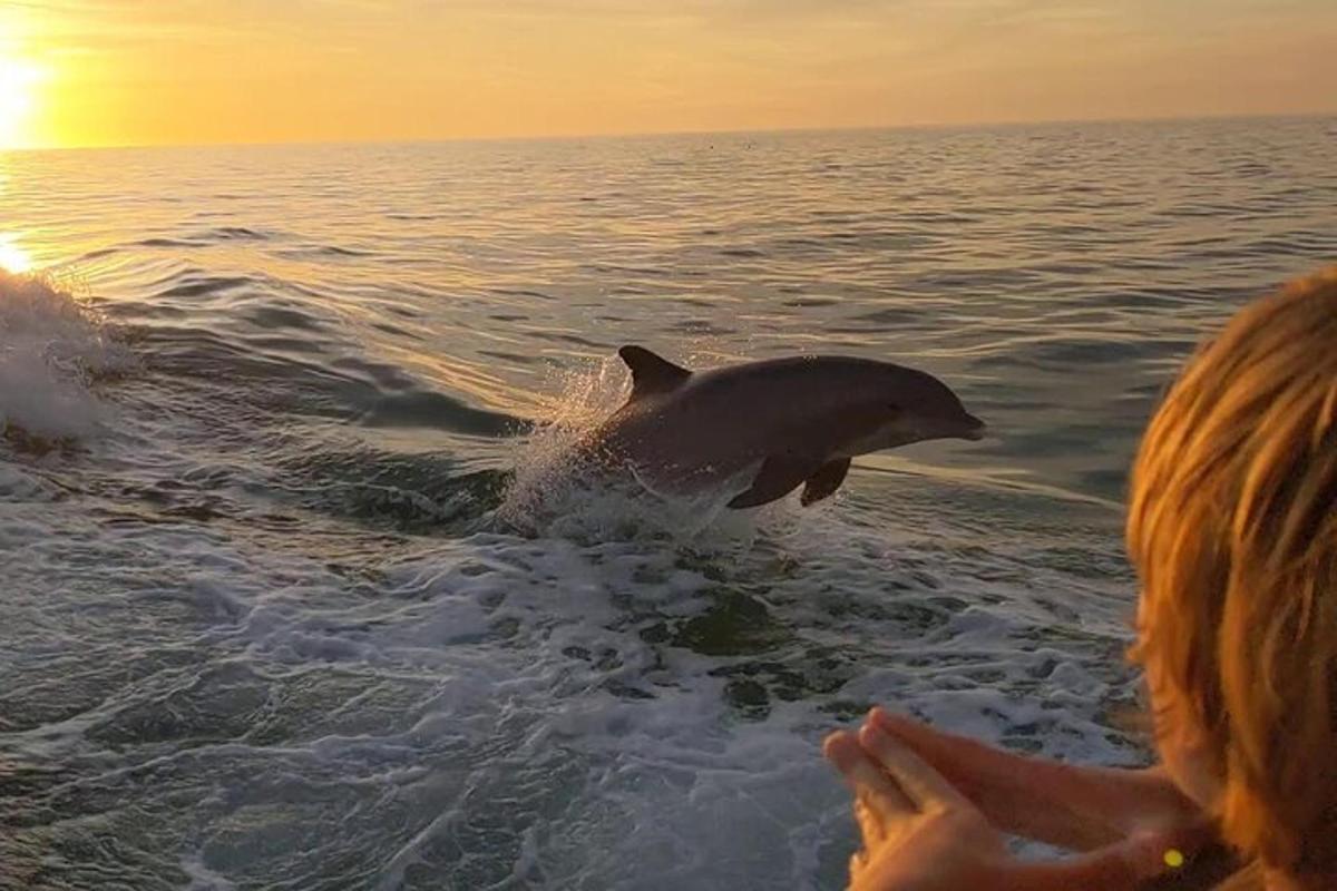 a dolphin jumping out of the water next to a person