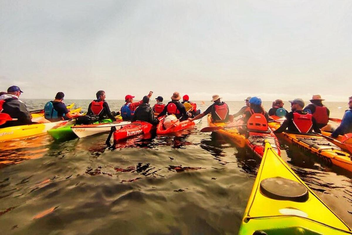 un gruppo di persone in kayak in acqua