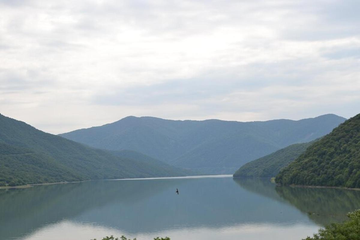 Una vista de un lago con montañas al fondo.