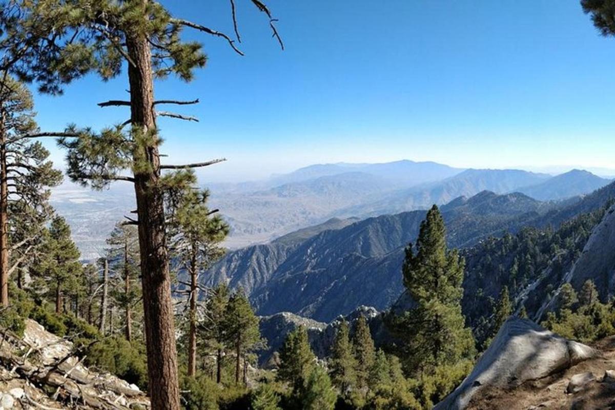 a view of a mountain with trees and mountains