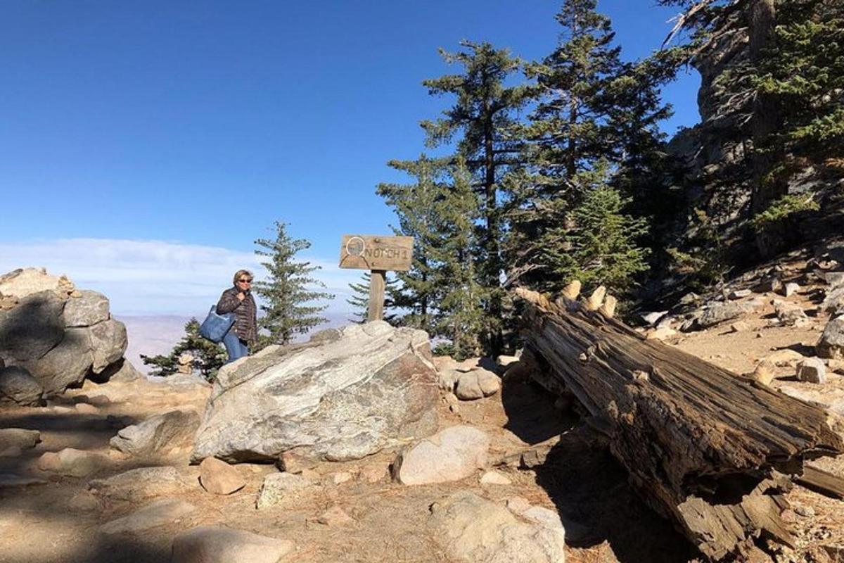 a person sitting next to a sign on a mountain