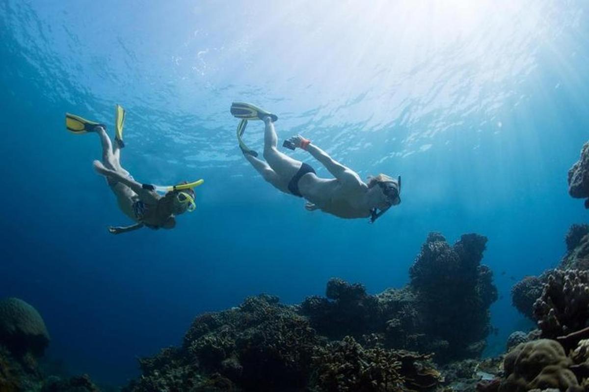 dua orang sedang berenang di lautan berhampiran terumbu karang