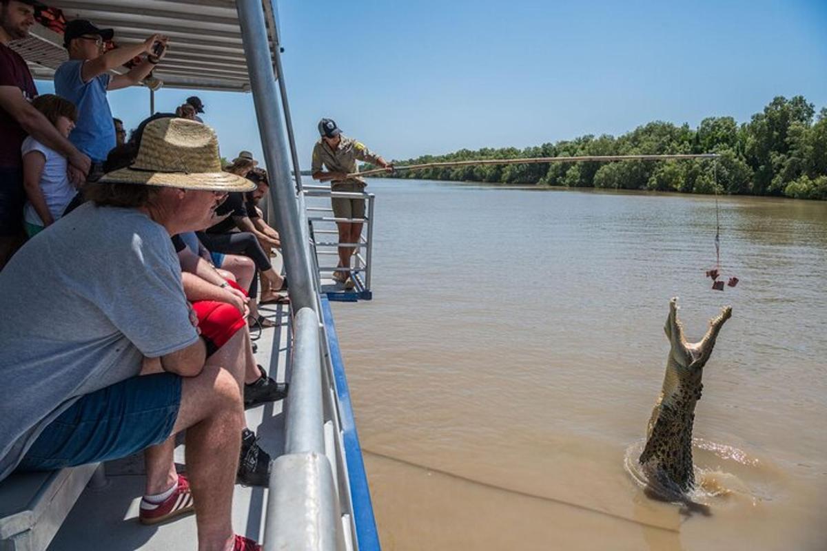 a group of people on a boat watching an alligator in the water