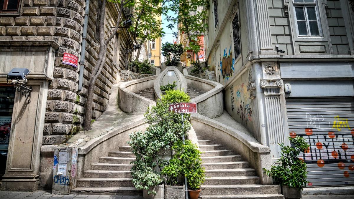 un conjunt d'escales amb plantes en test davant d'un edifici