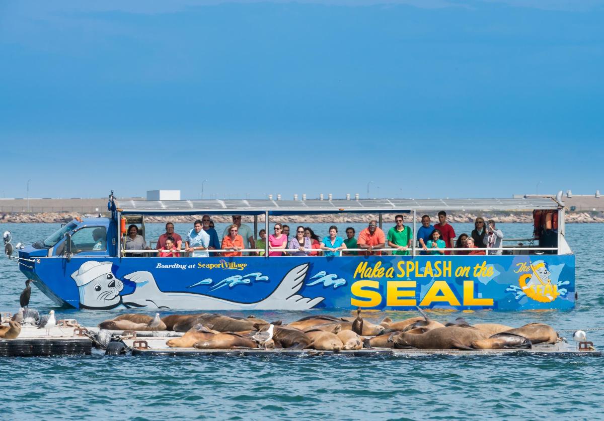 a group of seals on a boat in the water