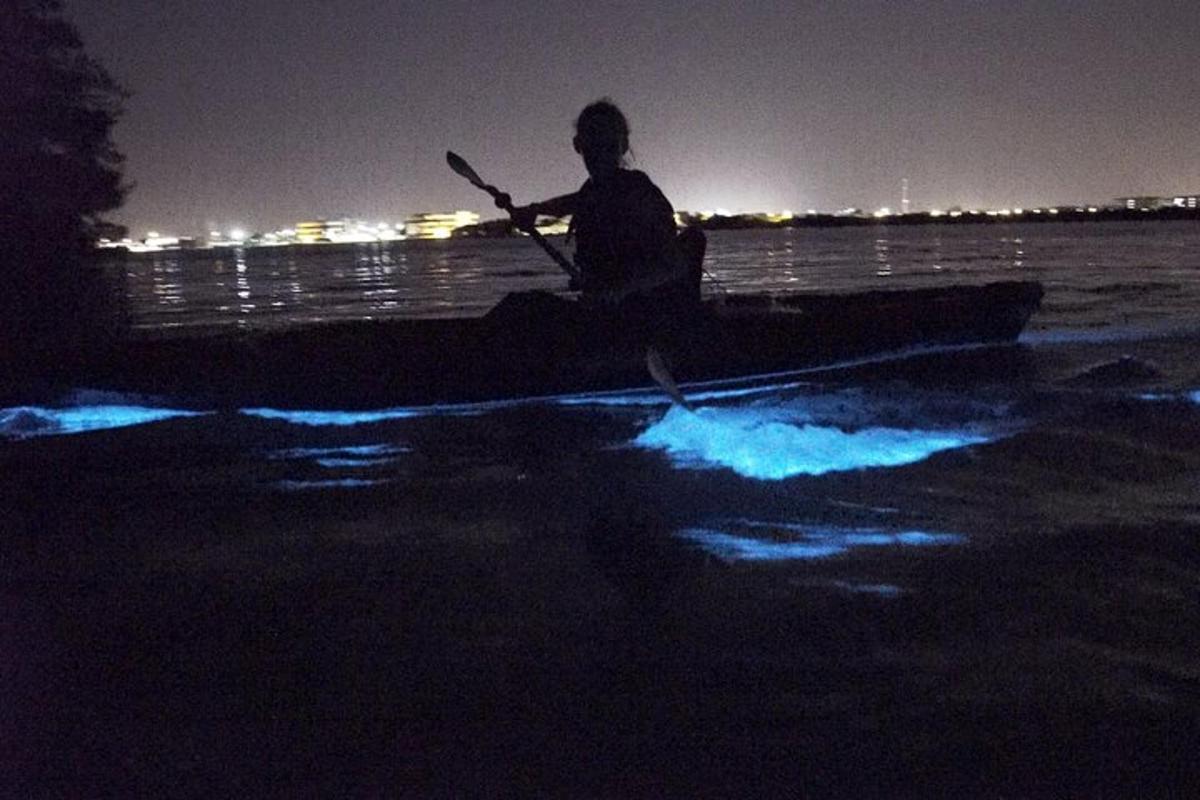 a man is rowing a boat on the water at night