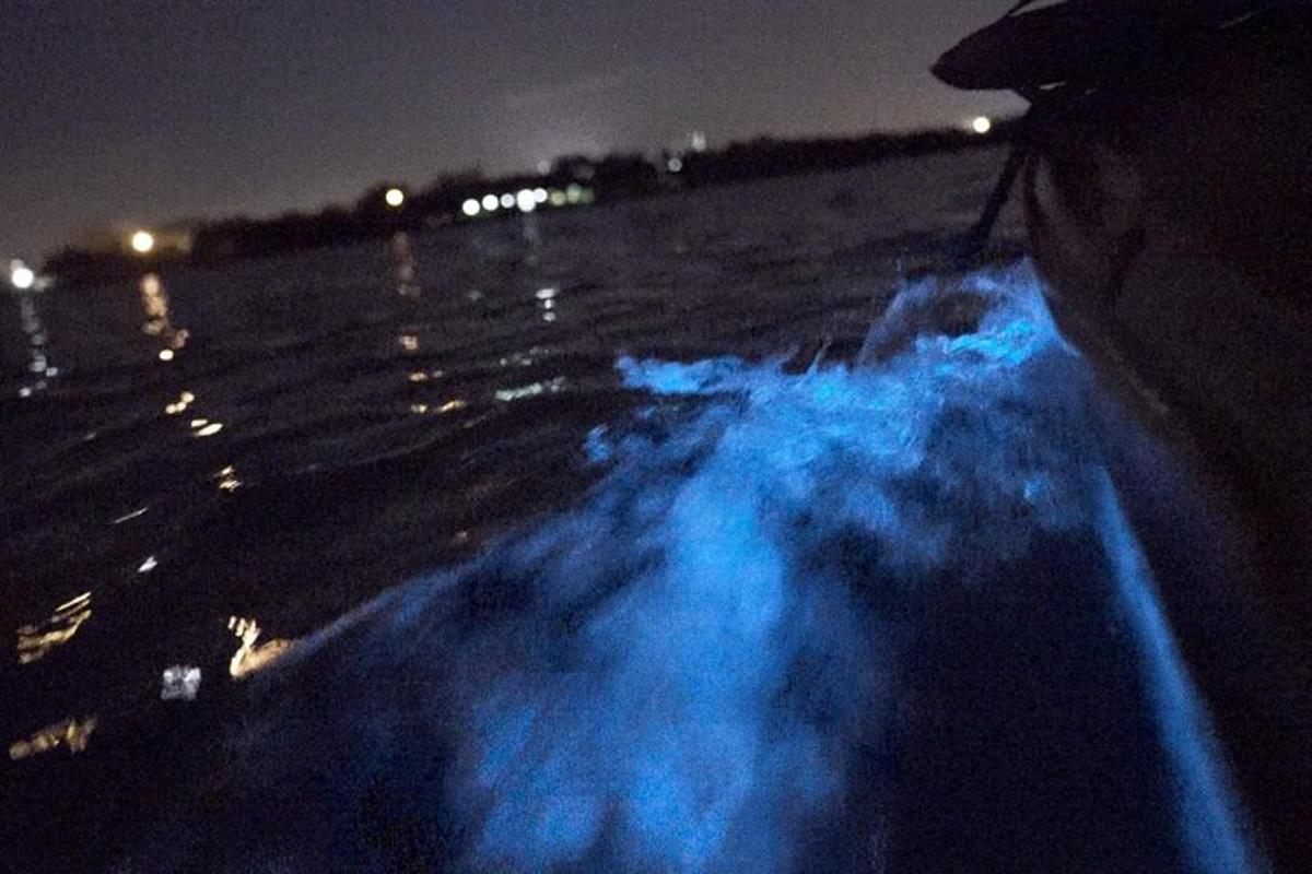a boat with blue smoke in a parking lot at night