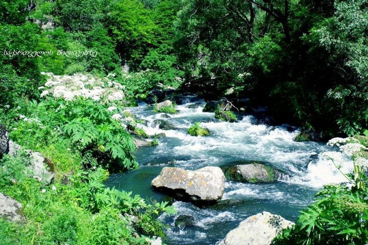 un corso d'acqua con rocce e alberi