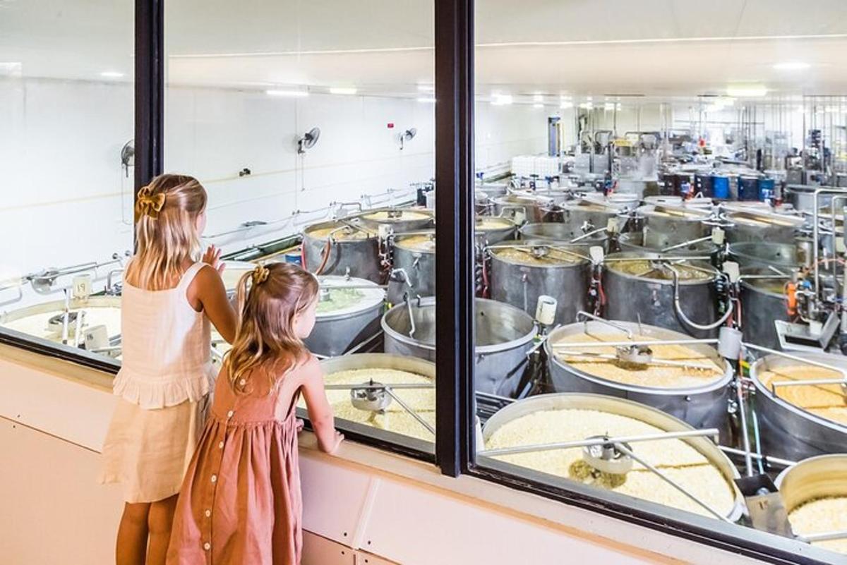 two little girls looking into a display case in a kitchen