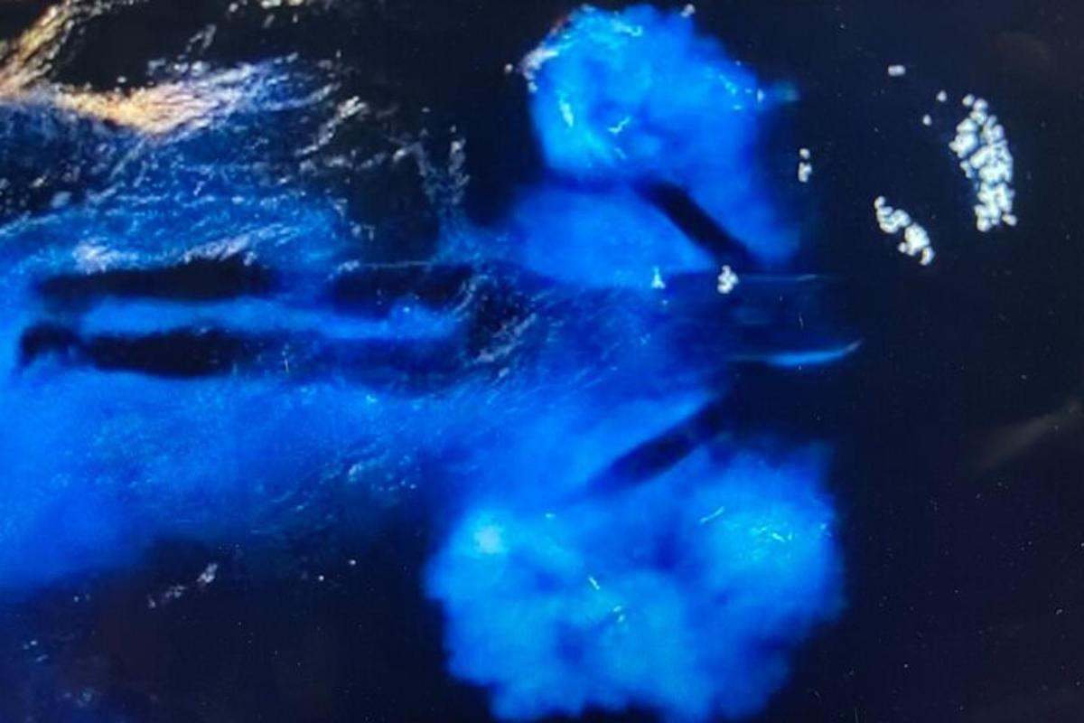 a group of blue objects in the water