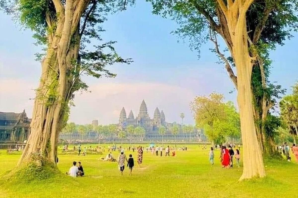 một nhóm người đang đi bộ trong công viên có cây cối