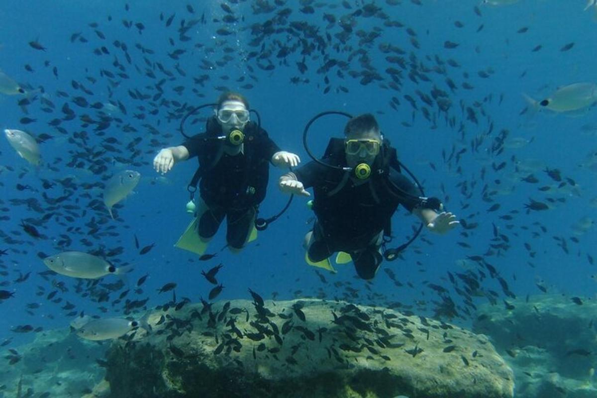 两个人在海里和鱼一起潜水