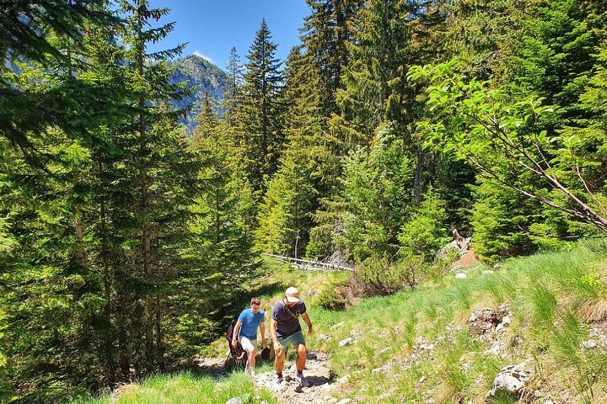 due persone che camminano su un sentiero nel bosco