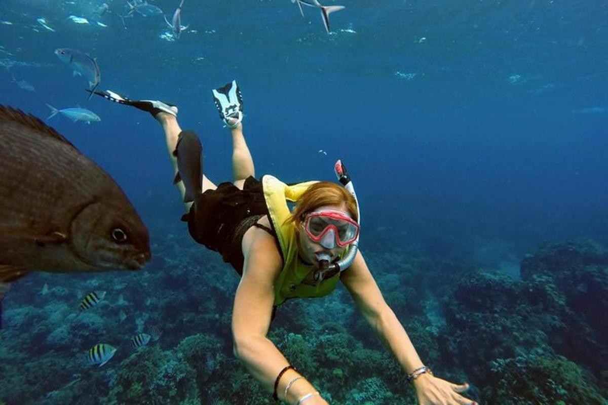 Žena se potápí v oceánu s želvou