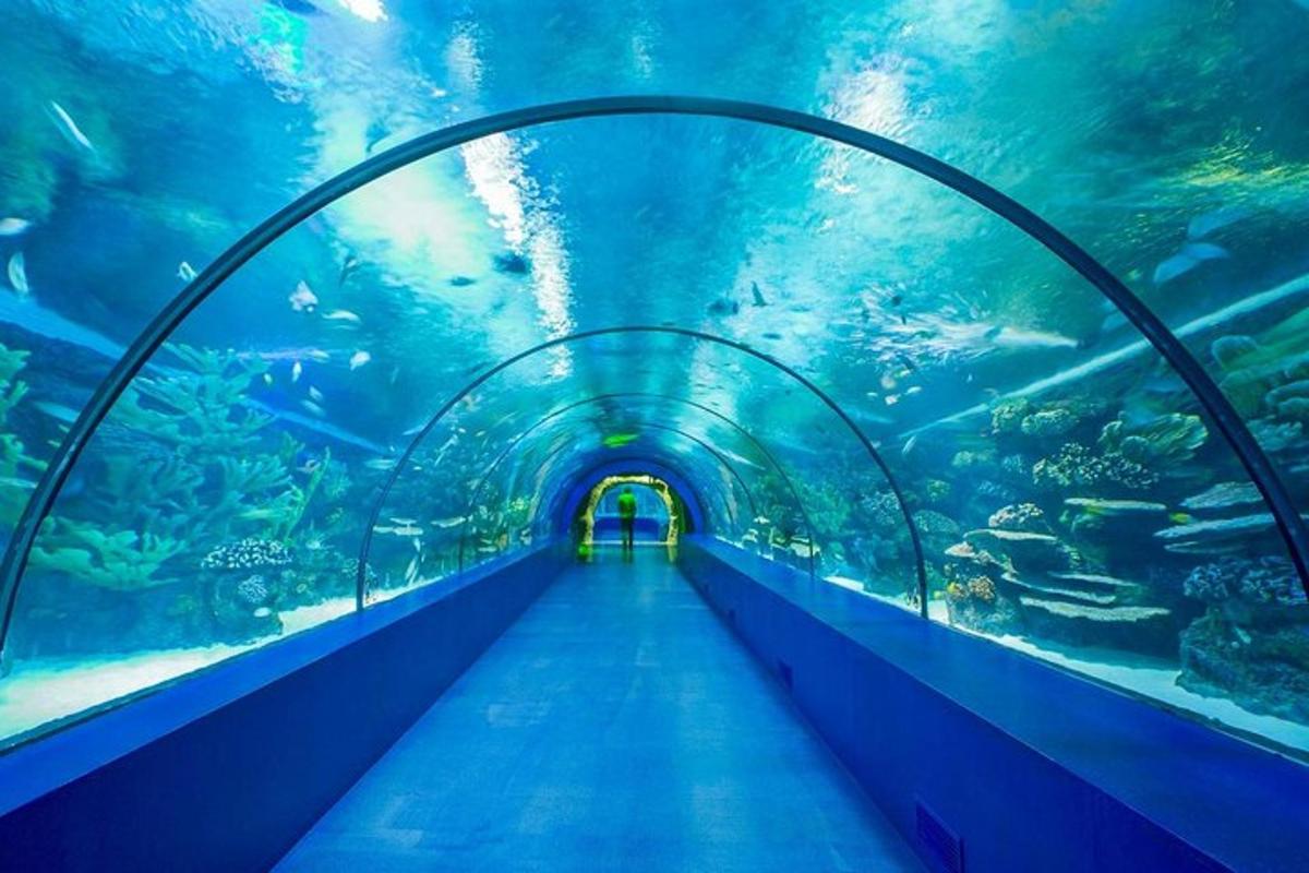 a tunnel in an aquarium with a large fish tank
