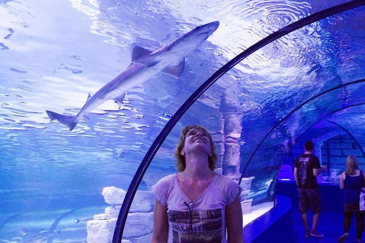 a woman looking up at two sharks in an aquarium