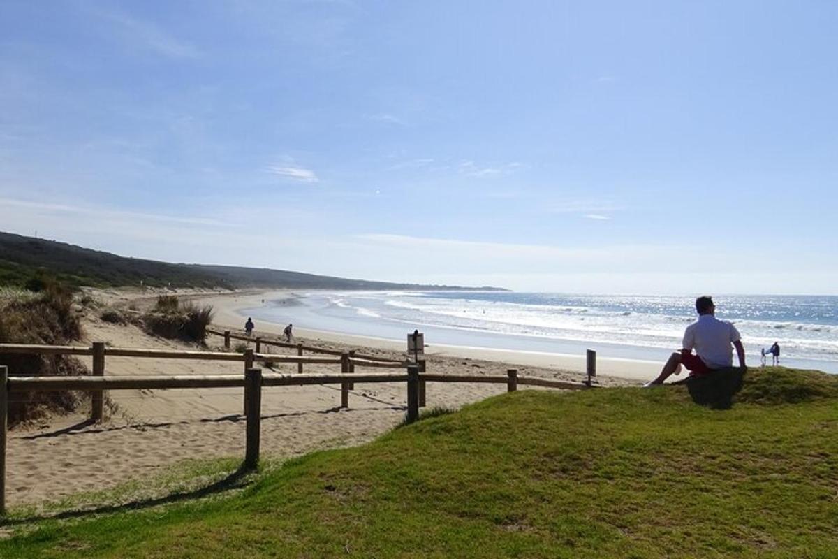 a man sitting on a fence looking at the beach