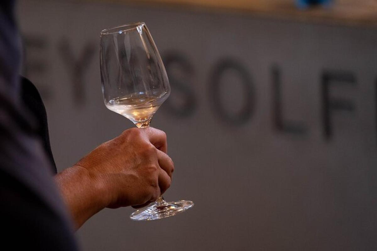 moški, ki v roki drži kozarec vina