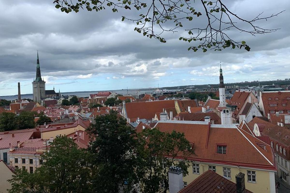 uma vista de uma cidade com telhados de edifícios