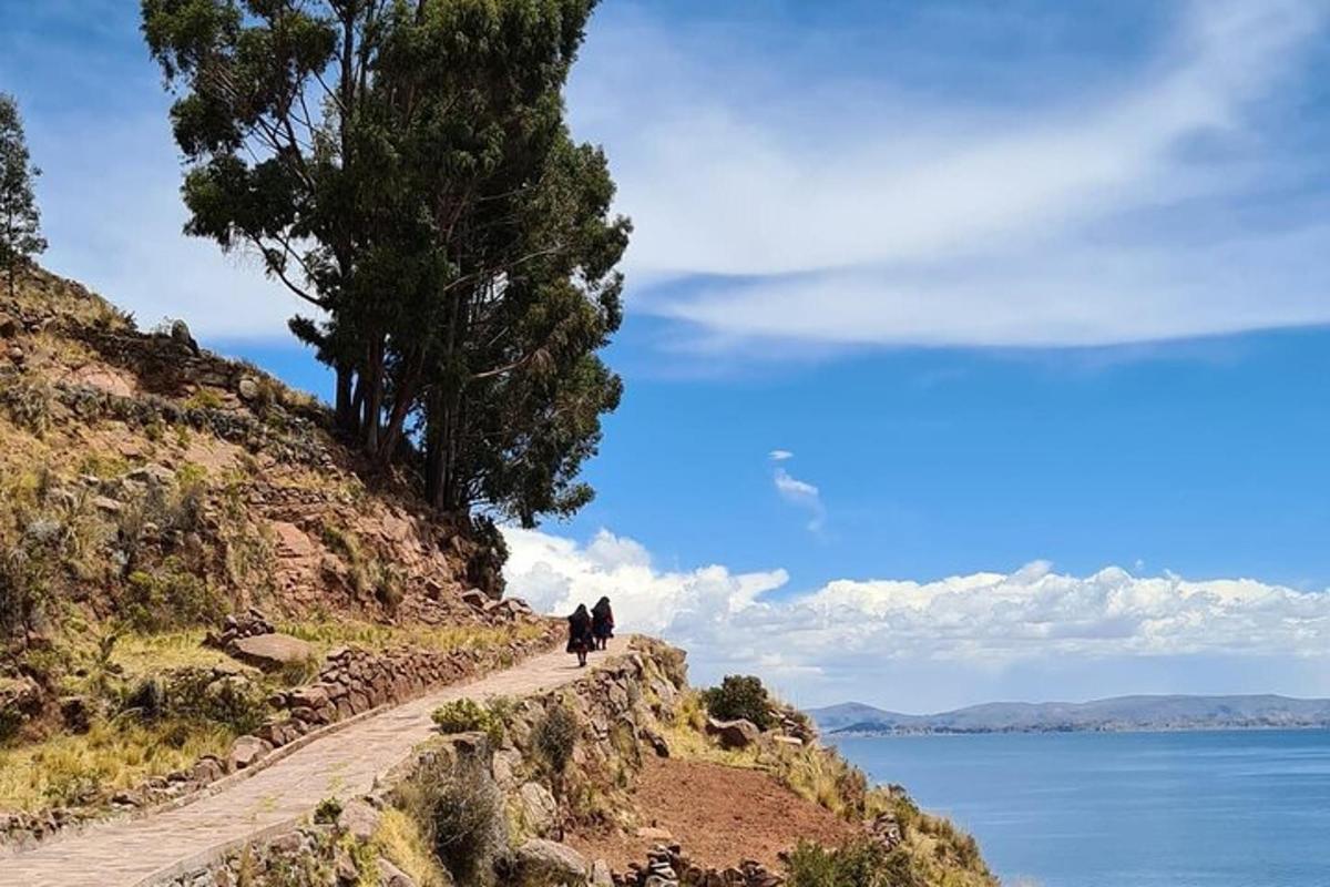 two horses walking down a dirt road next to the water